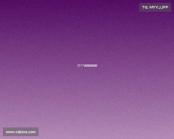 2017佛山赛事—佛山夺冠 2017佛山赛事—佛山夺冠