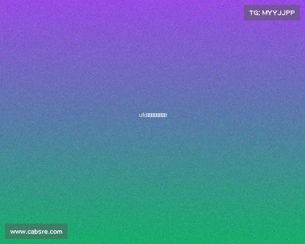 ufc都有哪些赛事名称