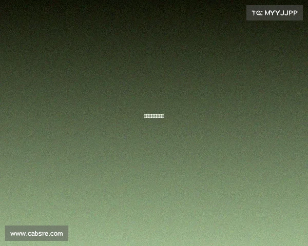 上海宠物赛事官网