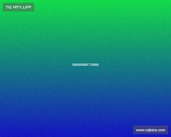 世预赛十二强赛事世预赛12强比赛地点