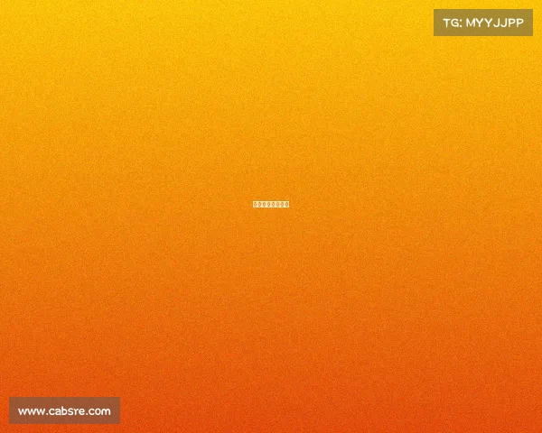 孙悦篮球最新消息