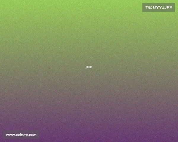 排球名单 排球名单